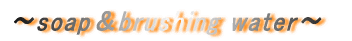 �`soap��brushing water�`
